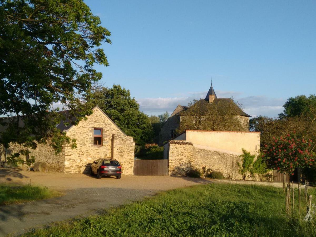 Chateau De Chanze Faye-d'Anjou Eksteriør bilde