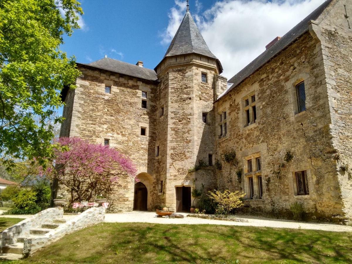 Chateau De Chanze Faye-d'Anjou Eksteriør bilde
